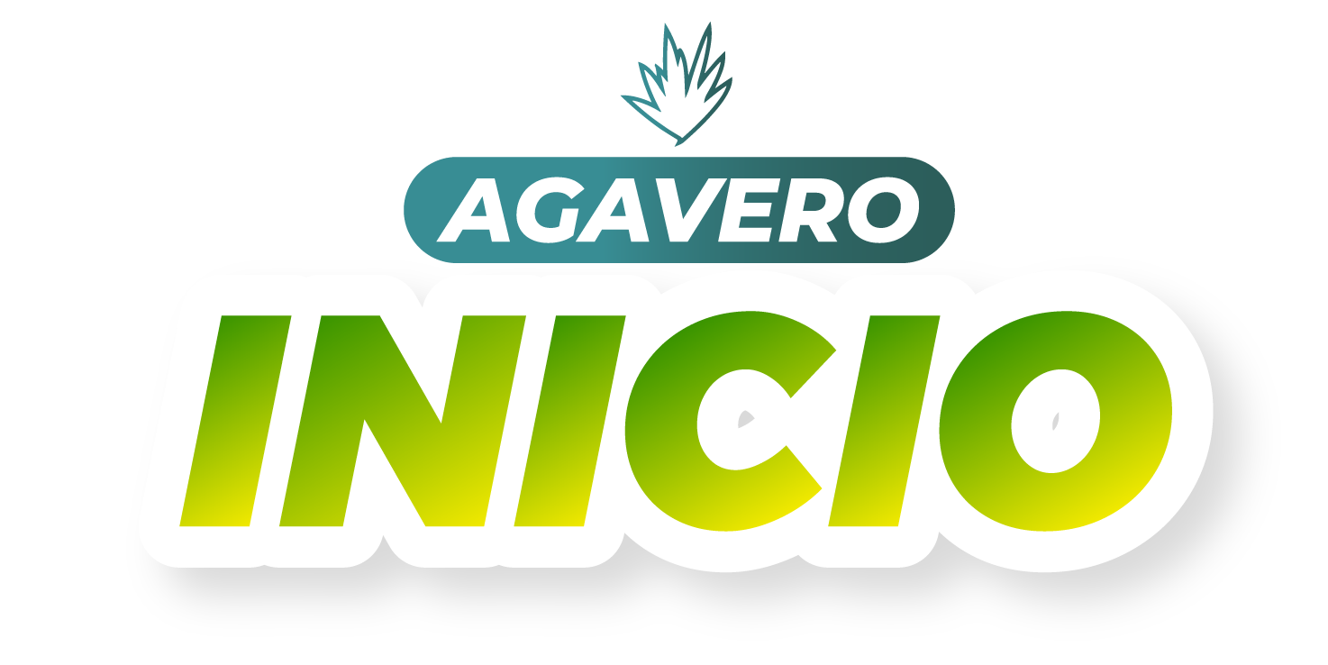 Inicio
